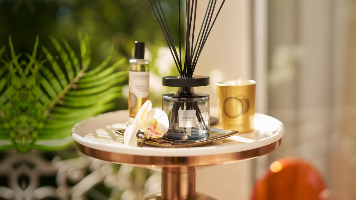 Nouveautés