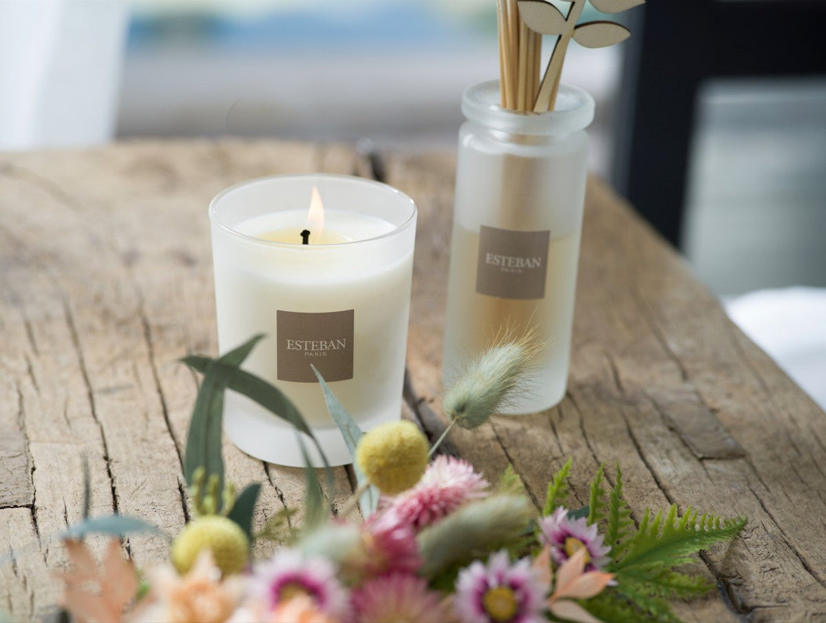 L’automne : une saison aux multiples trésors