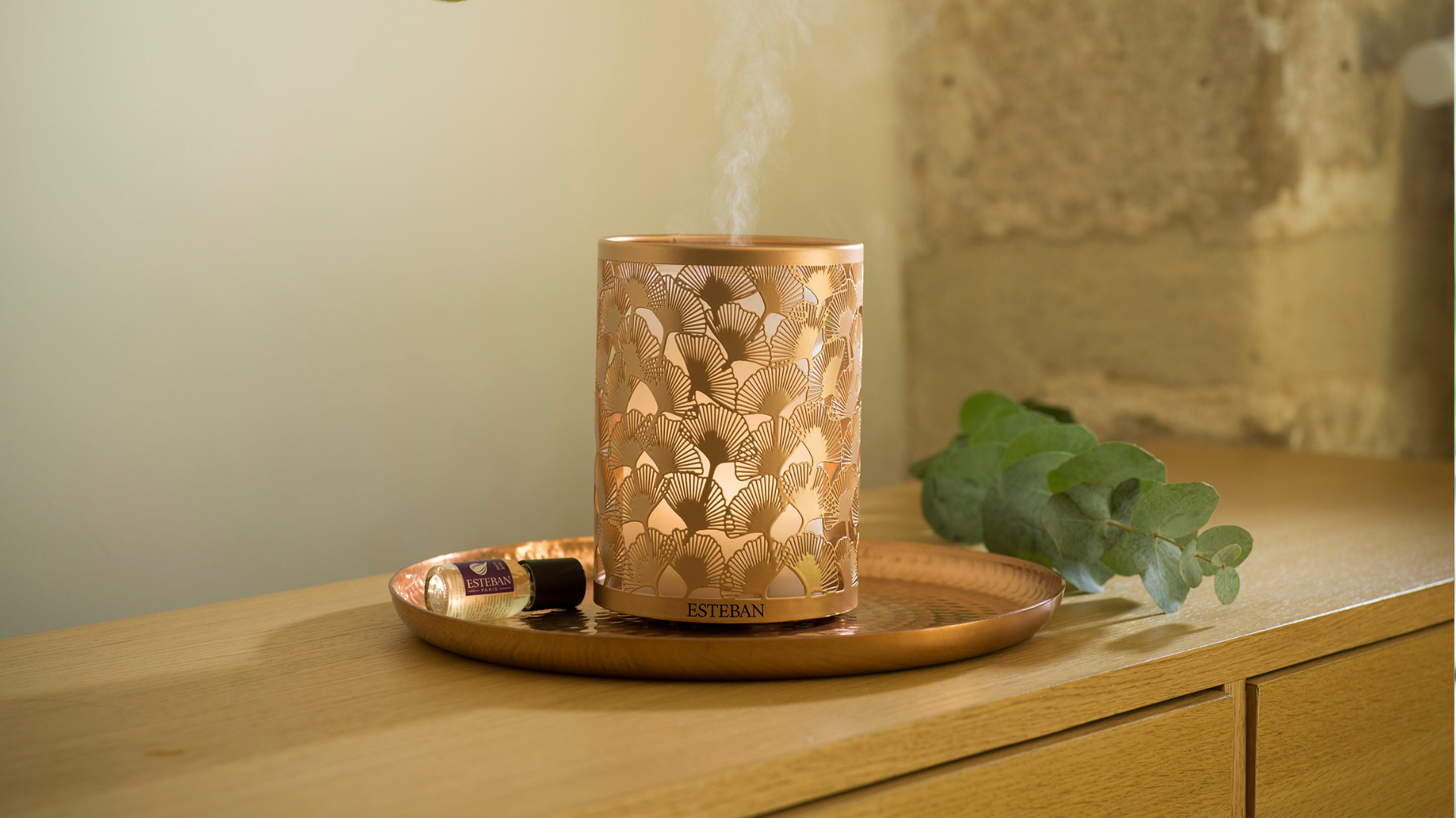 Diffuseurs électriques designs