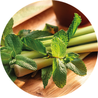 Citronella e Menta