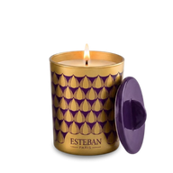 Candele profumate decorative