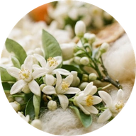 Fiori d'Arancio